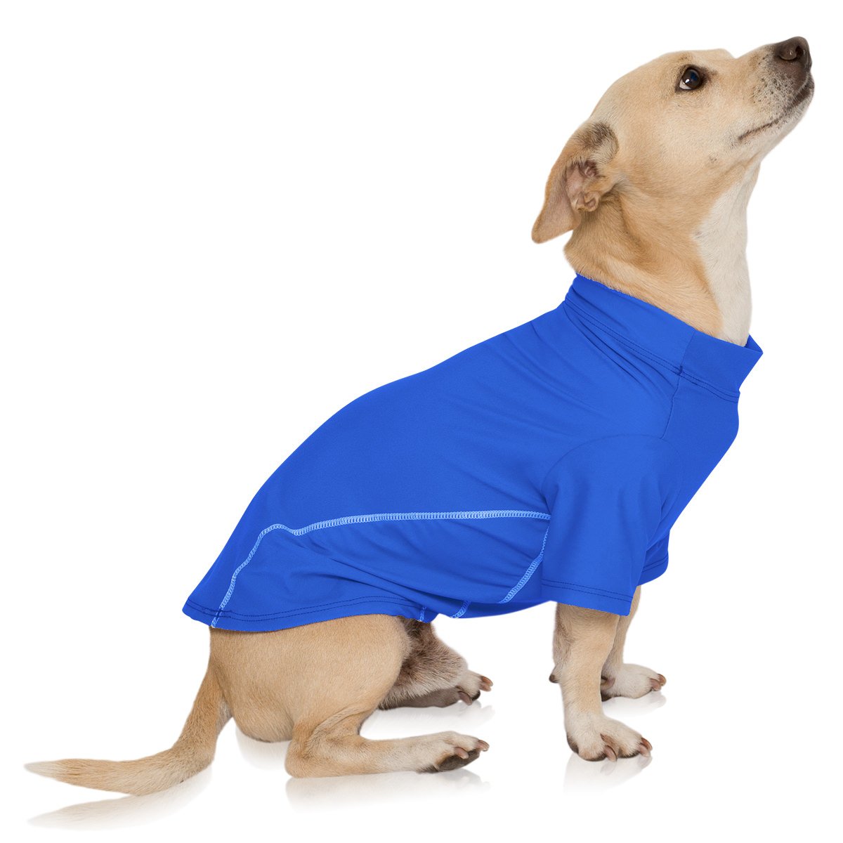 Playapup Dog Sun Shirt (Upf 50+), Blue, X-Large